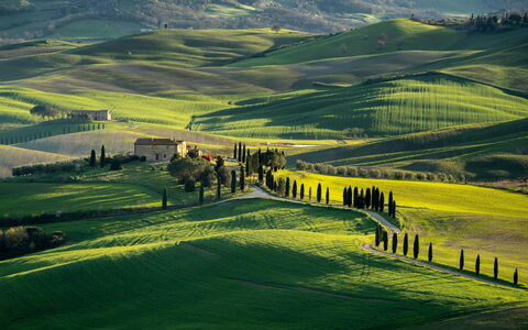 Oliveto del Cantarello: Herbe, Paysage Naturel, Colline, Prairie, Paysage, Montagnes, Champ, Plaine, Zone Rurale, Prairie