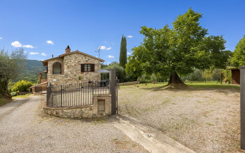 Oliveto Del Cantarello: Domicile, Chalet, Biens, Ferme, Village, Clôture, Cour, Allée, Villa, Accueil Escrime