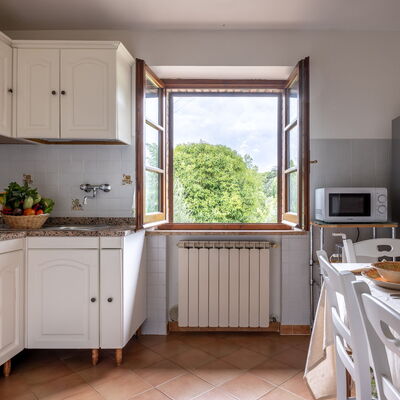 Oliveto Del Cantarello