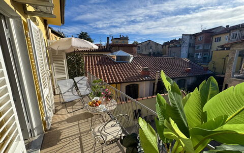Casa Capolino: Quartier, Domicile, Appartement, Balcon, Pot De Fleur, Plante D'Appartement