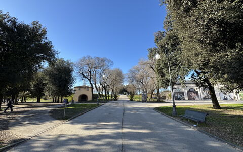 Casa Capolino: Arbre, Herbe, Branche, Surface De La Route, Espace Public, Suppression Des Plantes Ligneuses, Ombre, Parc, Allée, Trottoir