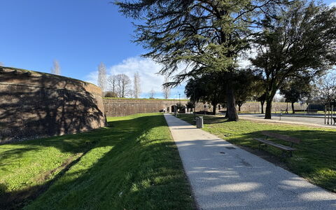 Casa Capolino: Herbe, Arbre, Pelouse, Passerelle, Trottoir, Aménagement Paysager, Jardin, Parc, Allée, Ombre