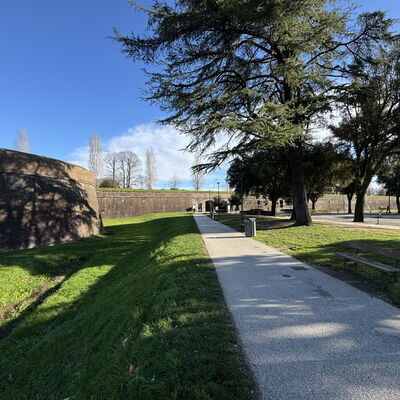 Casa Capolino: Herbe, Arbre, Pelouse, Passerelle, Trottoir, Aménagement Paysager, Jardin, Parc, Allée, Ombre