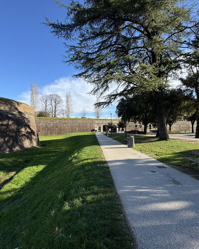 Casa Capolino: Herbe, Arbre, Pelouse, Passerelle, Trottoir, Aménagement Paysager, Jardin, Parc, Allée, Ombre