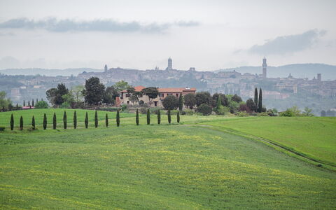La Casina Honeymoon Cottage, Badia Agnano: Herbe, Prairie, Horizon, Paysage, Plaine, Colline, Lot Terre, Prairie, Champ, Zone Rurale