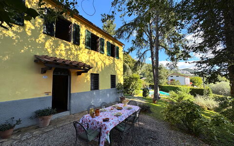 Allo Scoiattolo: Arbuste, Domicile, Chalet, Jardin, Biens, Ombre, Aménagement Paysager, Hacienda, Cour, Arrière-Cour