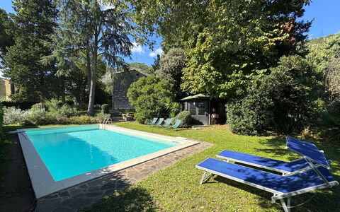 Allo Scoiattolo: Bleu, Piscine, Arbuste, Jardin, Ombre, Arrière-Cour, Recours, Biens, Aménagement Paysager, Hacienda