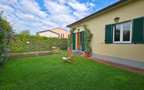 Villetta Tonfano: Jardin, Pelouse, Arrière-Cour, Cour, Ombre, Aménagement Paysager, Gazon Artificiel, Cour, Plante D'Appartement