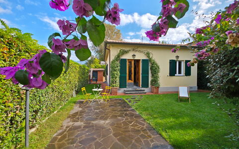 Villetta Tonfano: Arbuste, Jardin, Aménagement Paysager, Cour, Arrière-Cour, Pelouse, Ombre, Pot De Fleur, Hacienda