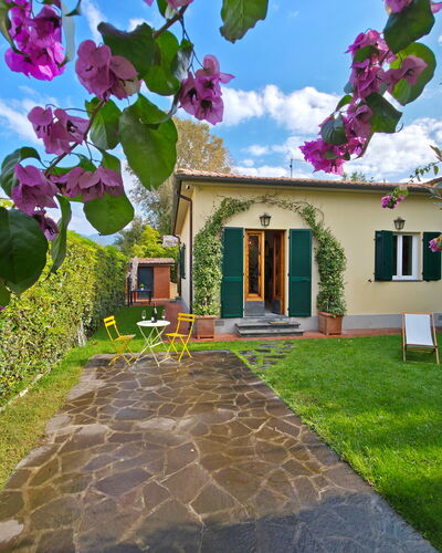 Villetta Tonfano: Arbuste, Jardin, Aménagement Paysager, Cour, Arrière-Cour, Pelouse, Ombre, Pot De Fleur, Hacienda