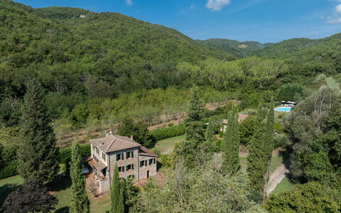 Mulino di Carpineto with Pool Gaiole in Chianti: Environnement Naturel, Végétation, Domicile, Maison, Paysage, Zone Rurale, Arbuste, Zone Résidentielle, Forêt, Communauté Des Plantes