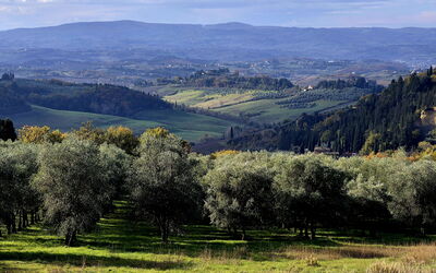 Novellina