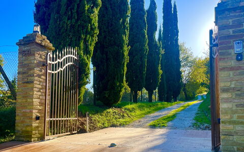Villa Vindelbono: Jardin, Aménagement Paysager, Passerelle, Ombre, À Feuilles Persistantes