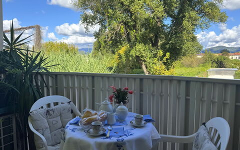 Liz: Meubles, Chaise, Tableau De Plein Air, Mobilier De Jardin, Balcon, Ombre, Serveware, Nappe De Table, Table Cuisine Et Salle A Manger, Cour