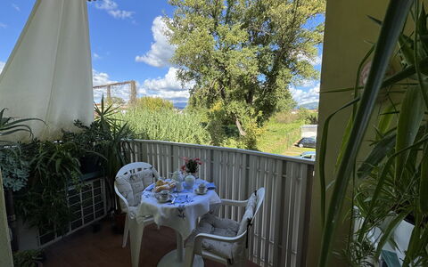 Liz: Meubles, Chaise, Table, Tableau De Plein Air, Mobilier De Jardin, Table Cuisine Et Salle A Manger, Ombre, Balcon, Plante D'Appartement, Arrière-Cour