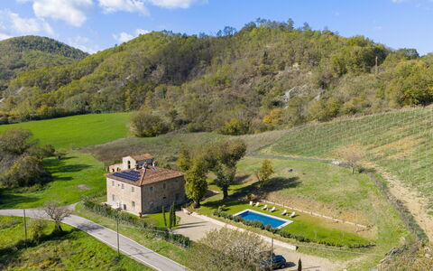 La Morella: Lot Terre, Zone Rurale, Domicile, Chalet, Biens, Ferme, Jardin, Pelouse, Prairie, Piscine
