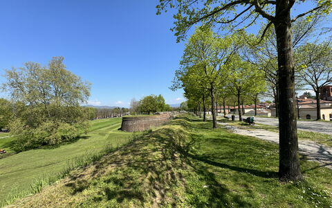 Al Civico 80: Ciel, Herbe, Arbre, Vert, La Nature, Feuille, Branche, Paysage Naturel, Prairie