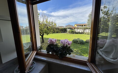 Villa Lory: Jardin, Pot De Fleur, Plante D'Appartement, Aménagement Paysager, Cour, Daylighting, Balcon, Arrière-Cour, Floristique