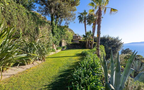 La Terrazza sul Mare: Bleu, Vert, Végétation, Mer, Arbuste, Océan, Côte, Cotiers Et Relief Océaniques, Communauté Des Plantes, Jardin