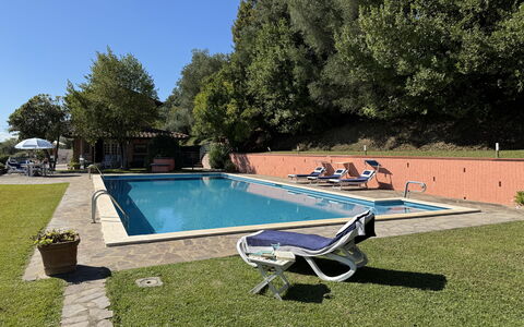 Casa Mia: Piscine, Recours, Mobilier De Jardin, Jardin, Eco Hôtel, Hacienda, Biens, Loisir, Arrière-Cour, Aménagement Paysager