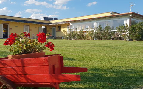 Appartamento Ibisco Seaside and Pool: Pelouse, Jardin, Ombre, Cour, Chaise, Aménagement Paysager, Mobilier De Jardin, Arrière-Cour, Pot De Fleur, Plante D'Appartement