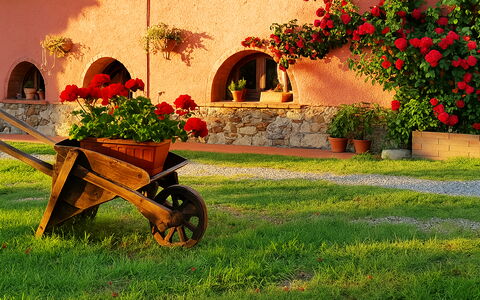 Suite Orchidea Seaside and Pool: Jardin, Aménagement Paysager, Cour, Pot De Fleur, Arrière-Cour, Hacienda, Plante D'Appartement