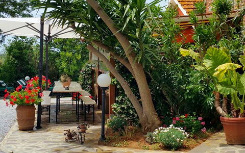 Suite Orchidea Seaside and Pool: Vert, Pot De Fleur, Jardin, Meubles, Ombre, Mobilier De Jardin, Arrière-Cour, Plante D'Appartement, Chaise