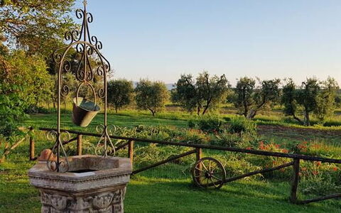 Appartamento Papavero Seaside and Pool: Plaine, Jardin, Parc, Pelouse, Cour, Aménagement Paysager, Plantation, Jardin Botanique, Ferme, Arrière-Cour