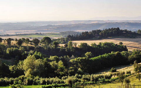 Casale Il Rondò, Private Pool, Città della Pieve: Arbre, Environnement Naturel, Vert, Paysage Naturel, Végétation, Colline, Écorégion, Prairie, Paysage, Plaine