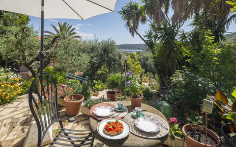 La Torre sul Ponte, Seaview, Garden: Végétation, Pot De Fleur, Arbuste, Jardin, Communauté Des Plantes, Plante D'Appartement, Aménagement Paysager, Mobilier De Jardin, Recours