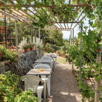 La Torre sul Ponte, Seaview, Garden: Ombre, Jardin, Agriculture, Plantation, Chaise, Mobilier De Jardin, Structure En Plein Air, Tableau De Plein Air