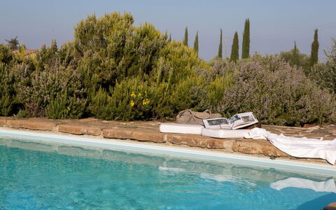 Podere Sangiovese, Pool and View in Chianti: Aménagement Paysager, À Feuilles Persistantes, Piscine, Famille Pine