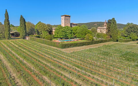 Medieval Castle Living: Vineyards, Swimming Pool &: Plantation, Agriculture, Jardin, Vignoble, Haie, Ferme