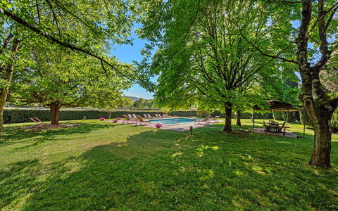 Medieval Castle Living: Vineyards, Swimming Pool &: Arbre, La Nature, Feuille, Branche, Jardin, Lumière Du Soleil, Ombre, Pelouse, Parc, Aménagement Paysager