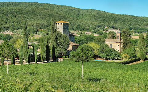 Medieval Castle Living: Vineyards, Swimming Pool &: Végétation, Arbuste, Lot Terre, Communauté Des Plantes, Zone Rurale, Plantation, Station De Montagne, Jardin, Village, Biens
