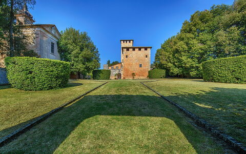 Medieval Castle Living: Vineyards, Swimming Pool &: Arbuste, Jardin, Biens, Pelouse, Haie, Aménagement Paysager, Château, Parc, À Feuilles Persistantes, Manoir