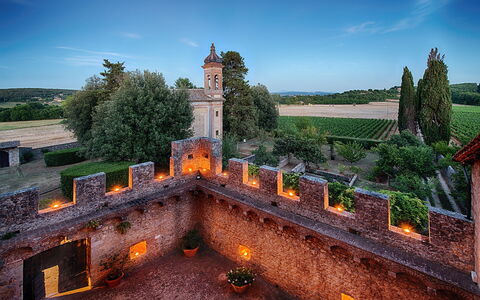 Medieval Castle Living: Vineyards, Swimming Pool &: Paysage, Château, Biens, Jardin, Site Historique, Médiéval Architecture, Fortification, Palais, Manoir