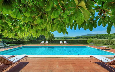 Medieval Castle Living: Vineyards, Swimming Pool &: Jardin, Ombre, Recours, Eco Hôtel, Piscine, Hacienda, Mobilier De Jardin, Plantation, Villa, Ferme