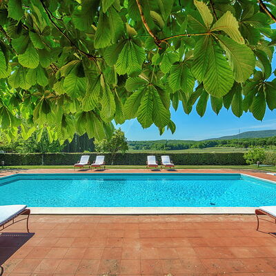 Medieval Castle Living: Vineyards, Swimming Pool &: Jardin, Ombre, Recours, Eco Hôtel, Piscine, Hacienda, Mobilier De Jardin, Plantation, Villa, Ferme