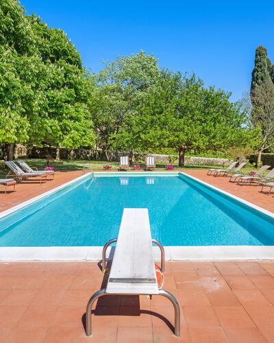 Medieval Castle Living: Vineyards, Swimming Pool &: Arbuste, Jardin, Piscine, Biens, Hacienda, Ombre, Aménagement Paysager, Pelouse, Villa, Recours