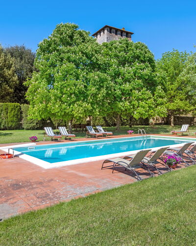 Medieval Castle Living: Vineyards, Swimming Pool &: Arbre, Arbuste, Jardin, Pelouse, Biens, Plantation, Piscine, Parc, Aménagement Paysager, Hacienda