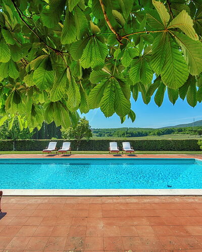 Medieval Castle Living: Vineyards, Swimming Pool &: Jardin, Ombre, Recours, Eco Hôtel, Piscine, Hacienda, Mobilier De Jardin, Plantation, Villa, Ferme