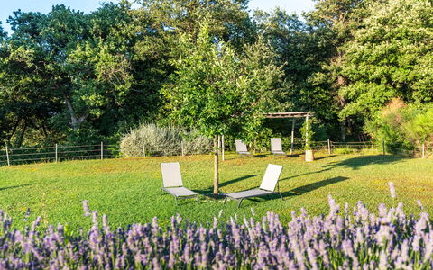 Cignella Resort: Herbe, Arbuste, Jardin, Pelouse, Printemps, Couverture De Sol, Prairie, Parc, Ombre
