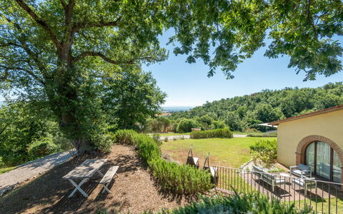 Cignella Resort: Arbre, Feuille, Végétation, Paysage Naturel, Arbuste, Paysage, Lot Terre, Zone Rurale, Communauté Des Plantes