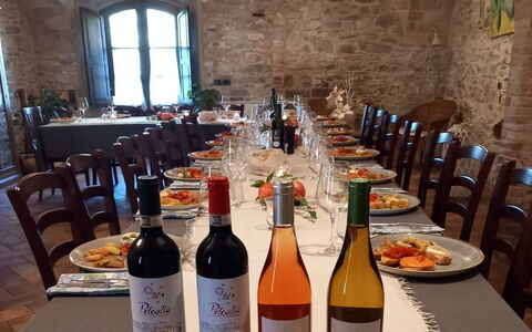 Podere Peteglia: Meubles, Bouteille, Restaurant, Chaise, Du Vin, Plante D'Appartement, Bouteille En Verre, Bar, Table Cuisine Et Salle A Manger