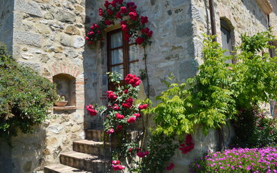 Agriturismo Bellavista, Private Pool, Val D'Orcia