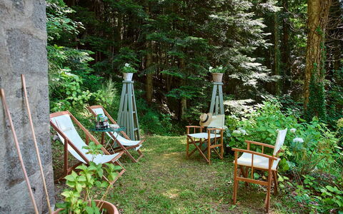 Il Gallinaio, Vivo D'Orcia: Bois, Végétation, Meubles, Communauté Des Plantes, Mobilier De Jardin, Tronc, Jardin, Couverture De Sol, Printemps, Chaise