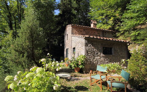 Il Gallinaio, Vivo D'Orcia: Arbuste, Maison, Chalet, Domicile, Printemps, Couverture De Sol, Jardin, Aménagement Paysager, Ferme