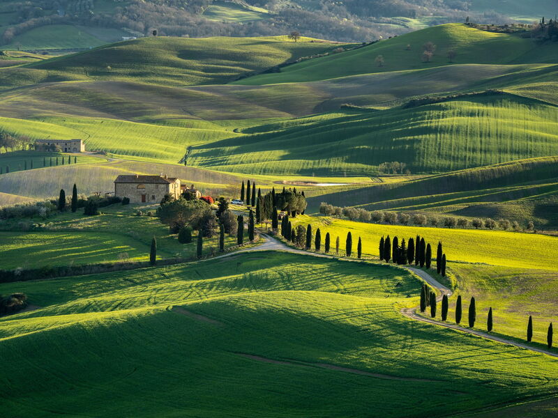 Il Gallinaio, Vivo D'Orcia