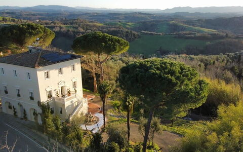 Villa Elisa: Zone Résidentielle, Maison, Architecture, Arbuste, Paysage, Biens, Domicile, Établissements Humains, Manoir, Hacienda